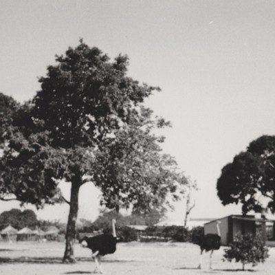Paisagem | RURAL