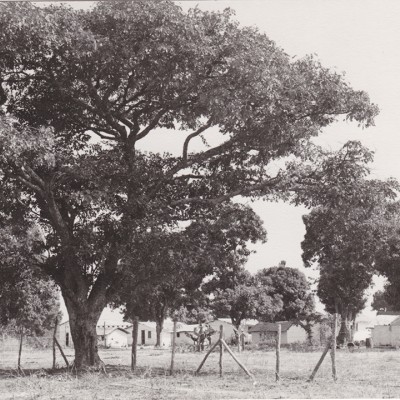 Paisagem | RURAL